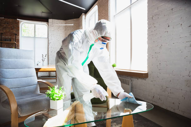 Why You Should Choose Our Mold Remediation Services in Holgate, OH